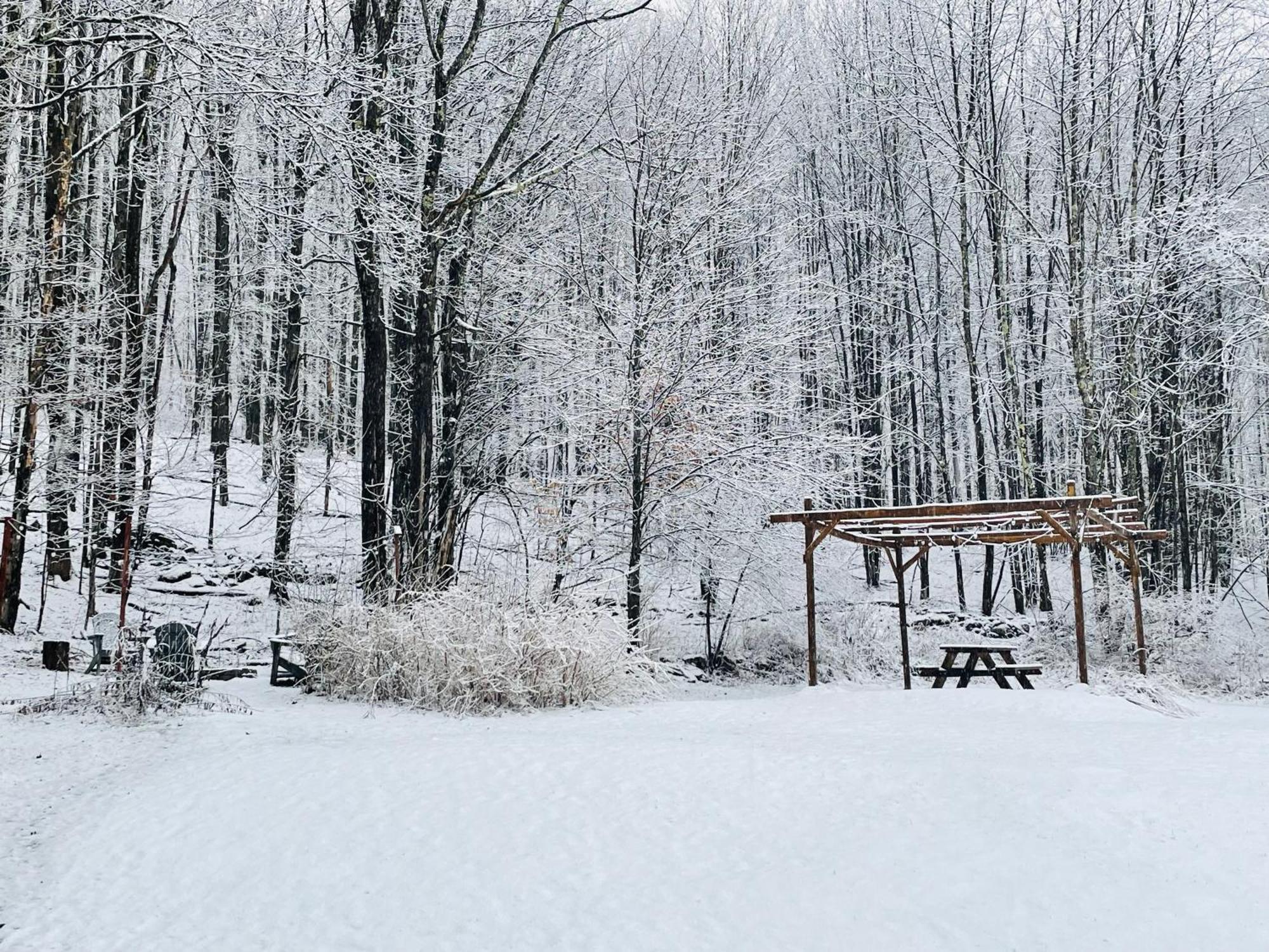 Cozy Cottage With Jacuzzi And Fire Pit And Reading Nook! Livingston Manor Eksteriør bilde